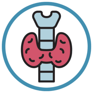 THYROID PROFILE (TOTAL T3, TOTAL T4, TSH)
